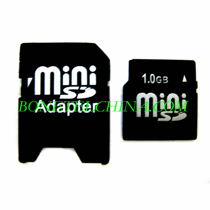 Mini SD card 1GB