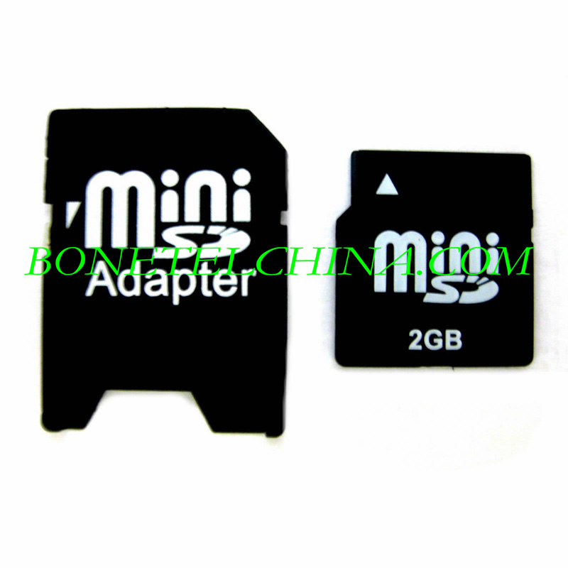Tarjeta Mini SD 2GB
